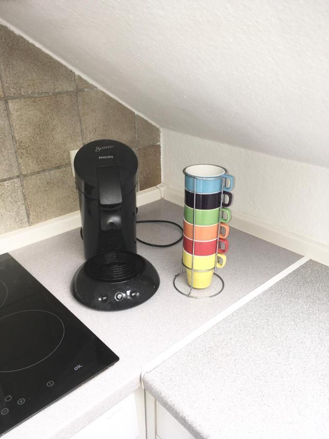 Ferienwohnung Bellevue Saarbrucken Bagian luar foto